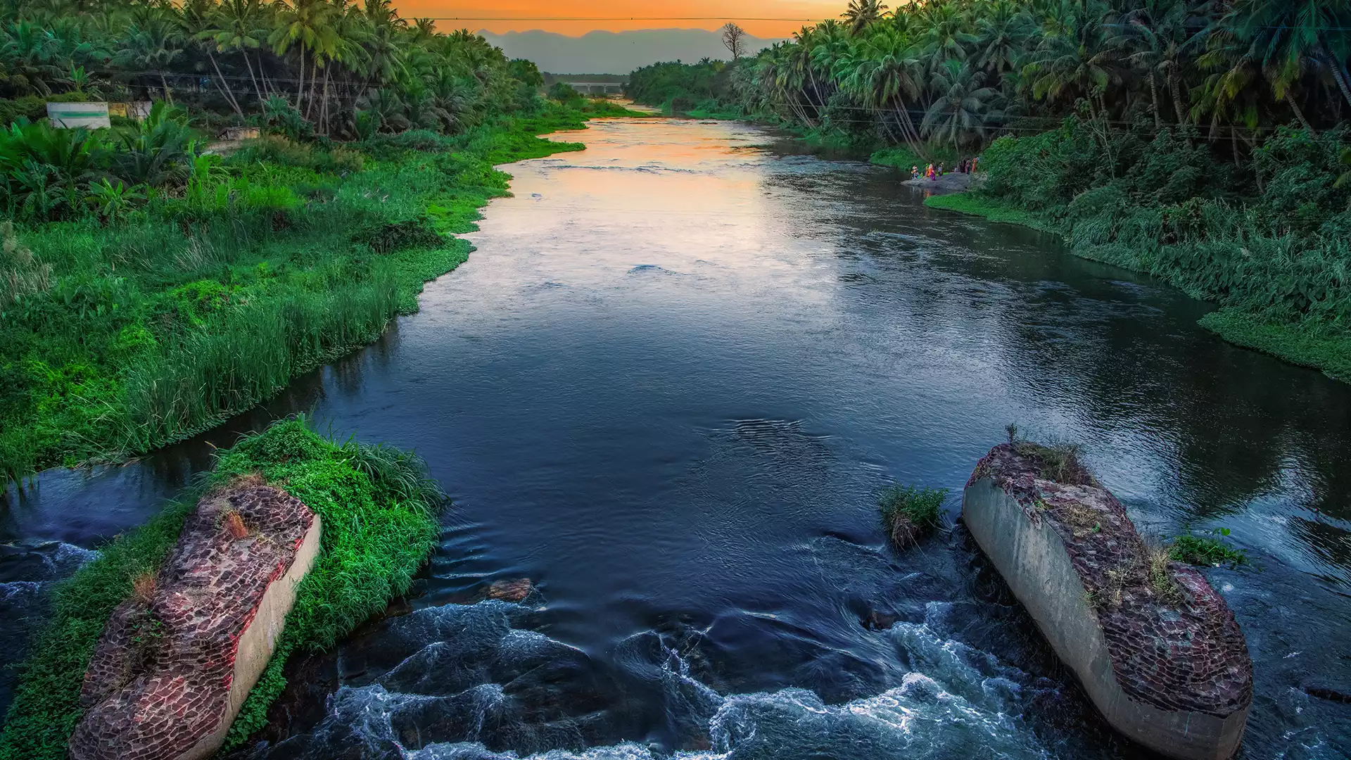 கோவை மாவட்டம்