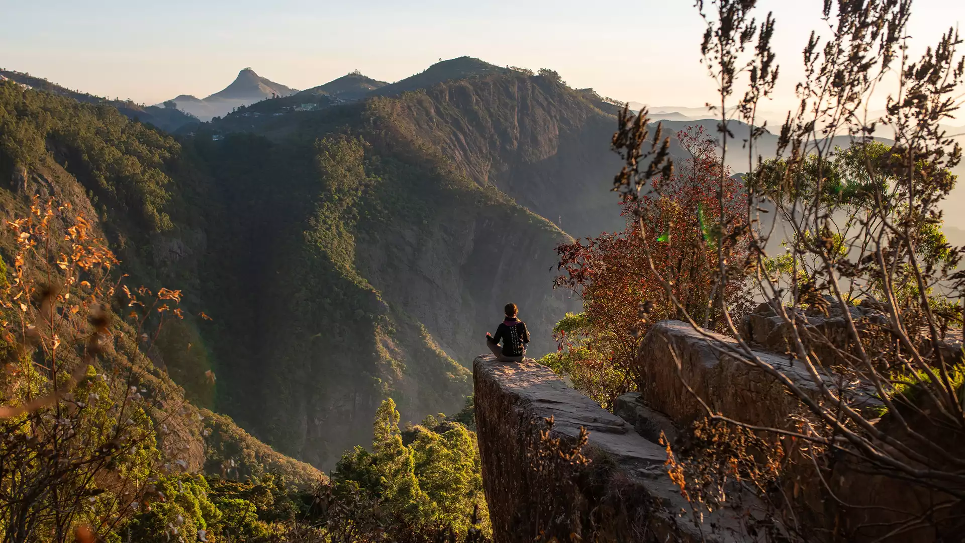 Dolphin’s Nose