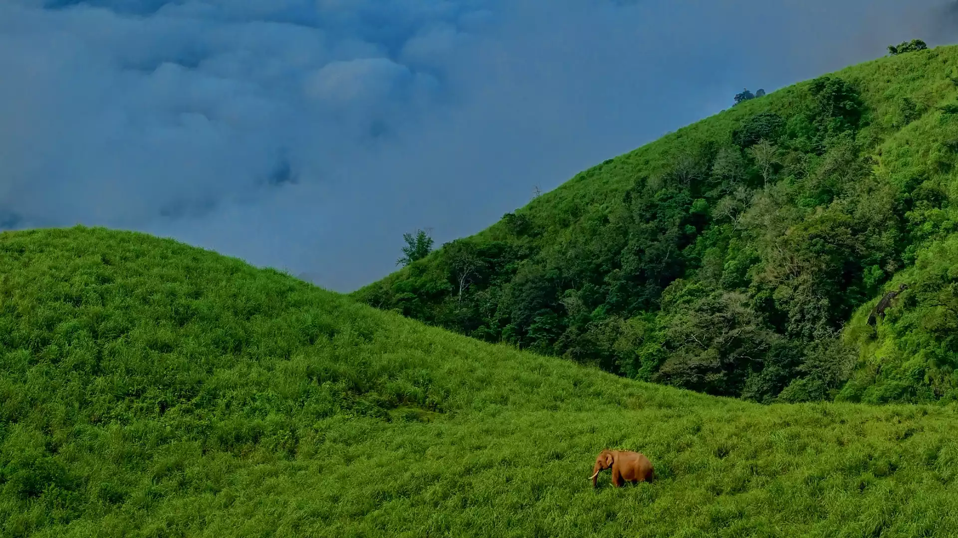 Gudalur