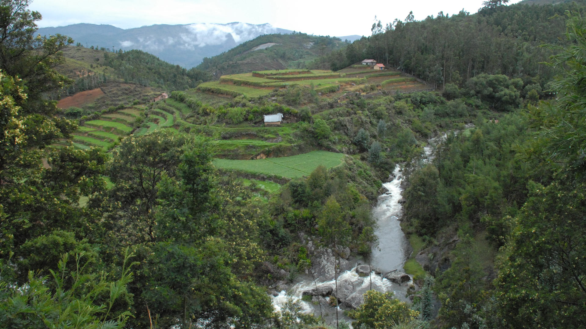 Pambar Falls