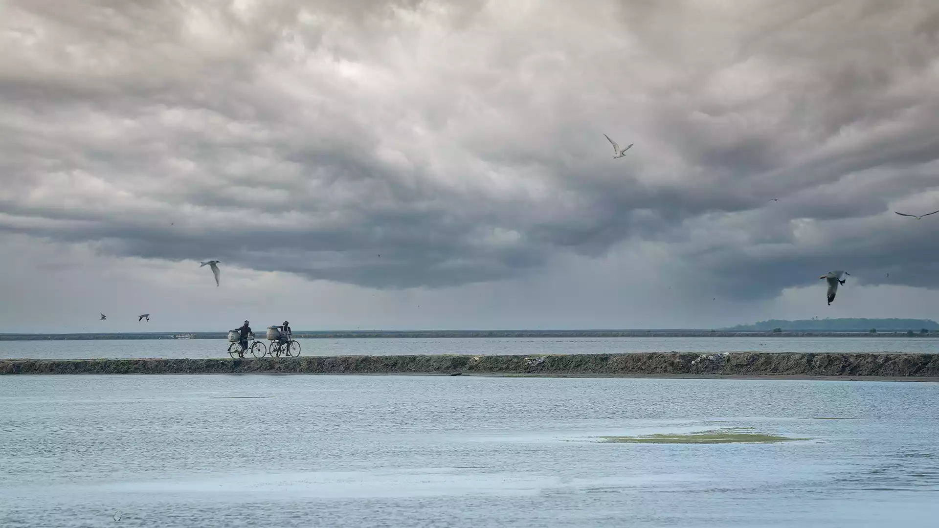 Point Calimere Wildlife and Bird Sanctuary