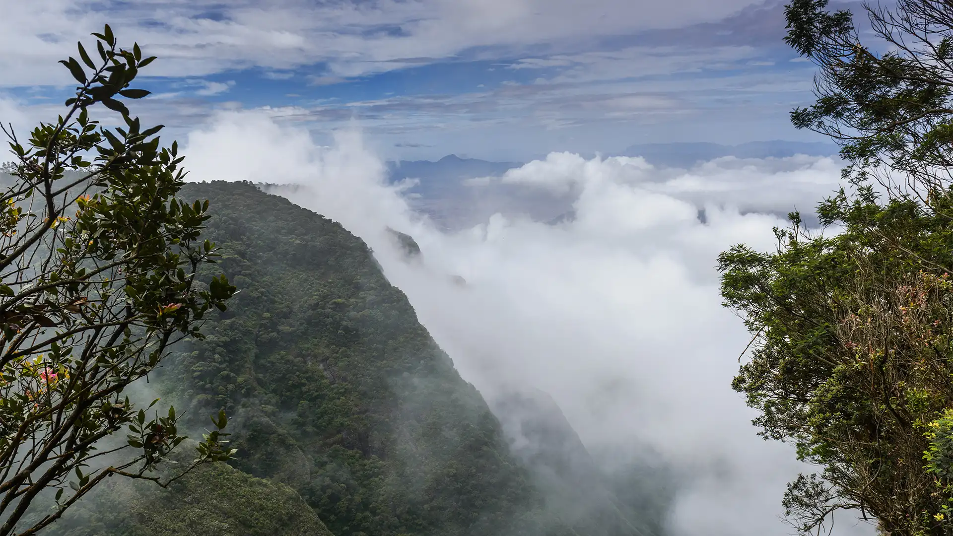 Silent Valley View