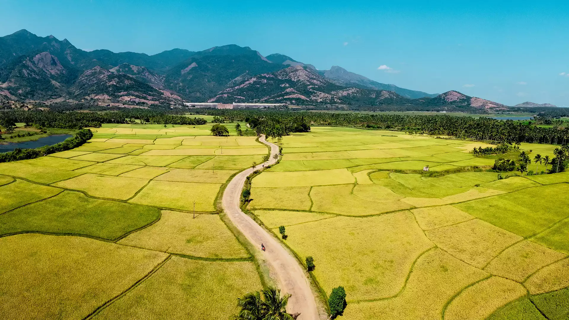 Tenkasi District