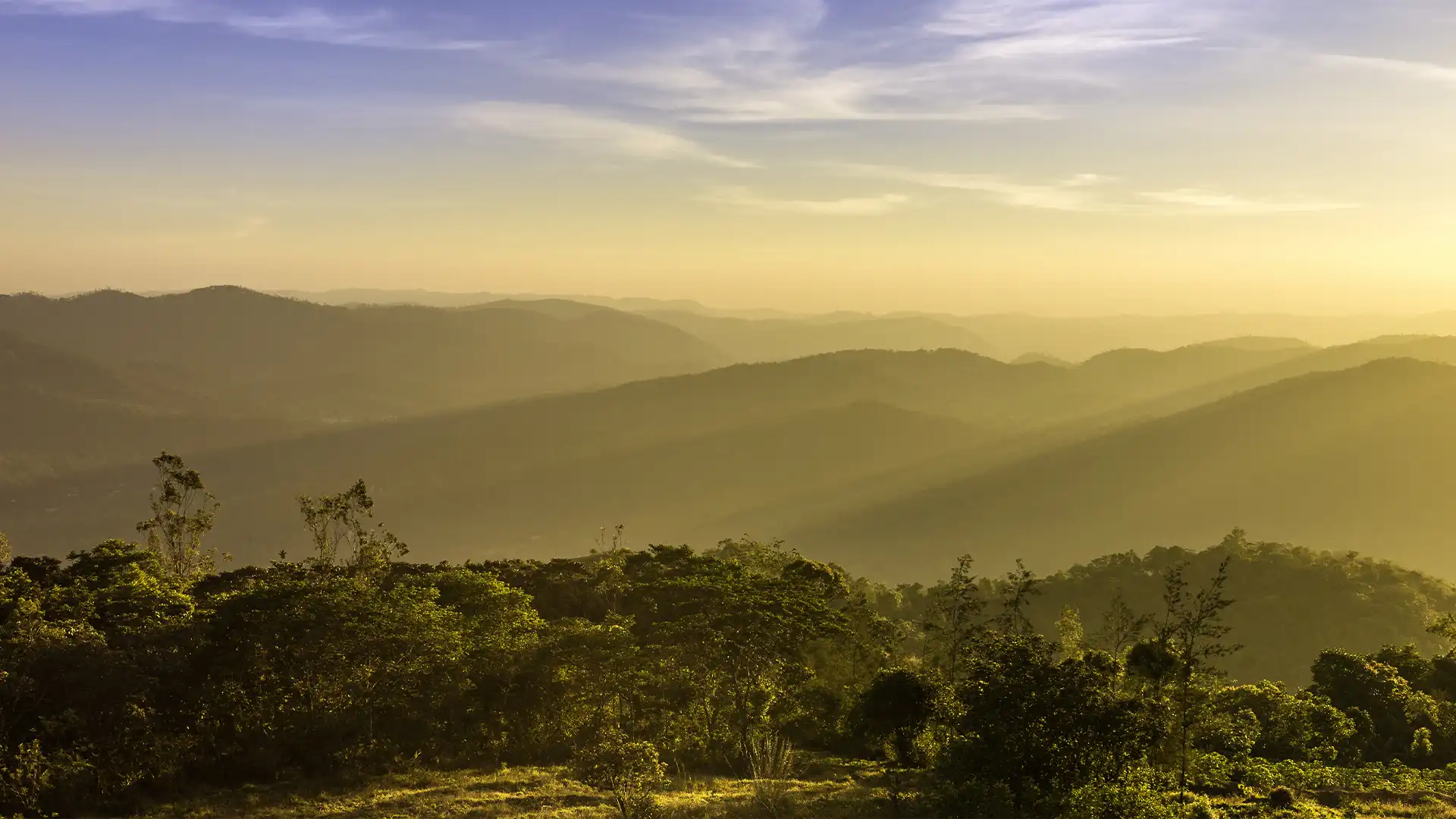 The Cardamom hills - Kodaikanal