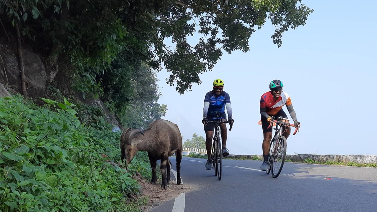 tamilnadu tourism in kodai