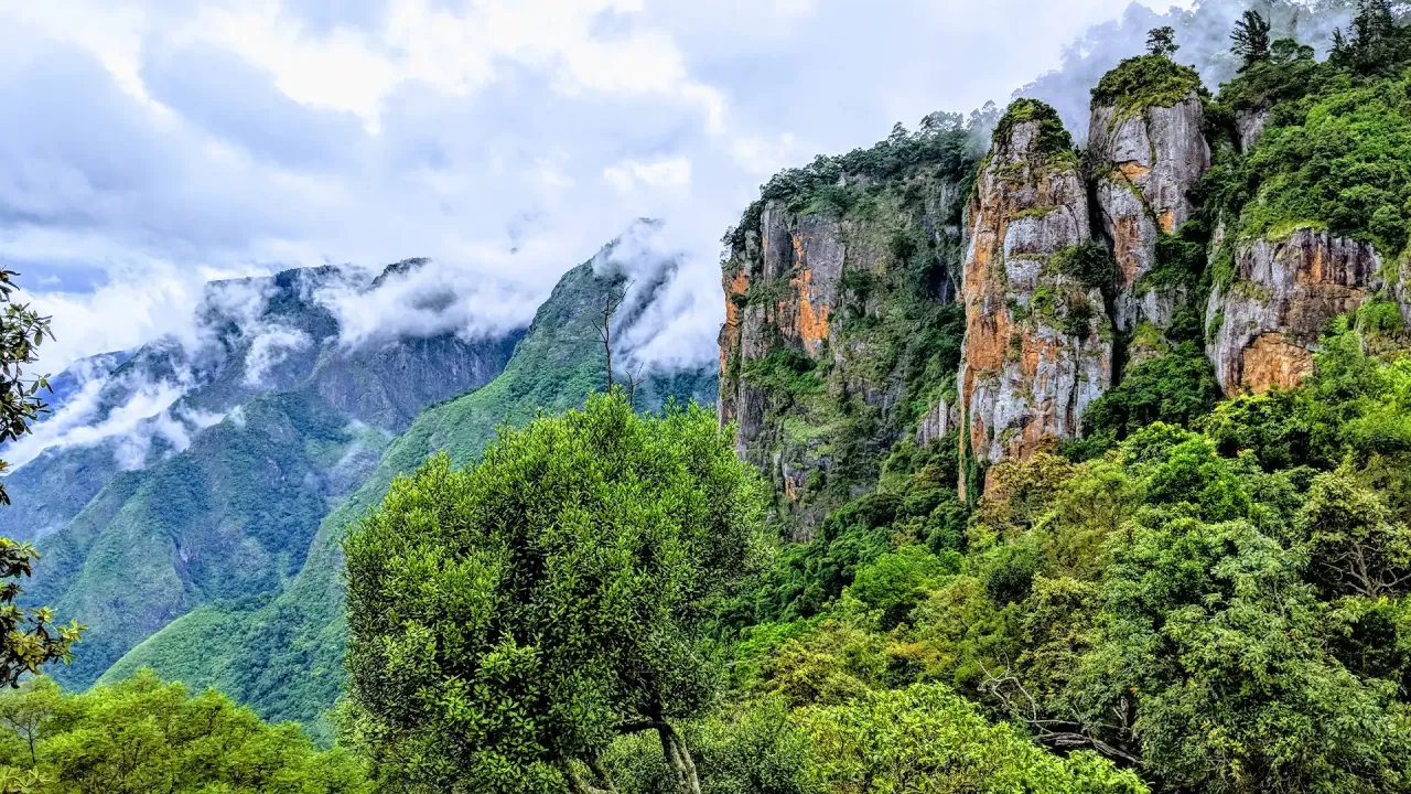 Pillar Rocks | Tamil Nadu