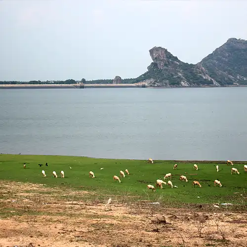 Amaravathi Reservoir