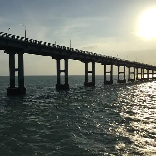 Annai Indira Gandhi Road Bridge