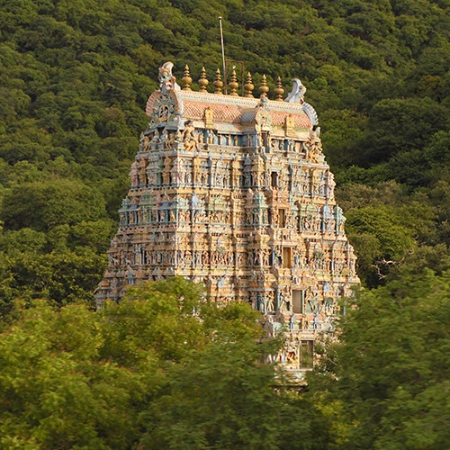 Arulmigu Kallalagar Thirukovil