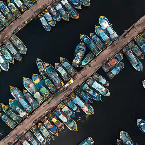 Boat Houses