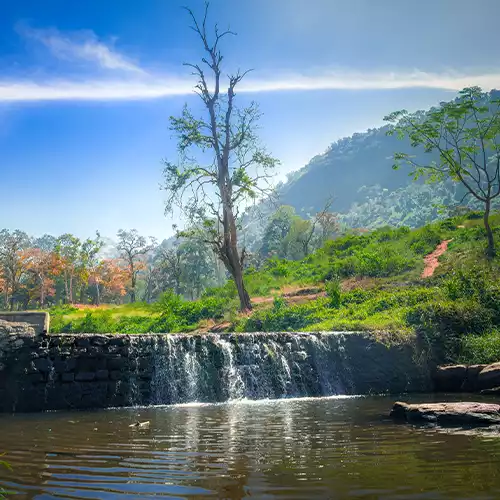 கோயம்புத்தூர்