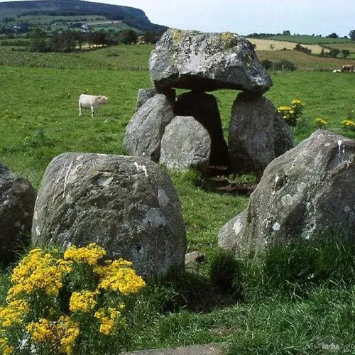 Dolmen Circle