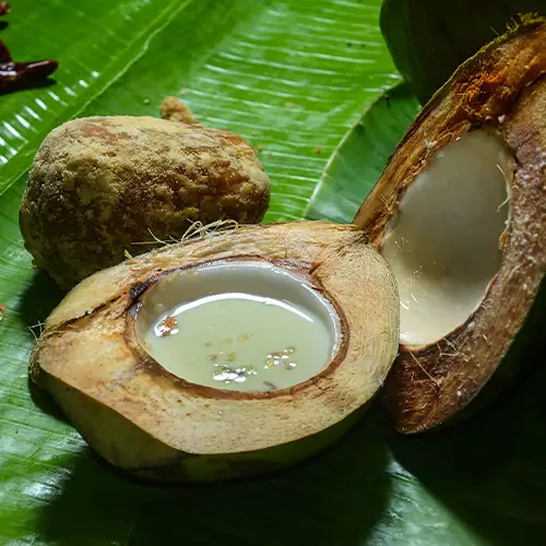 இளநீர் பாயசம்