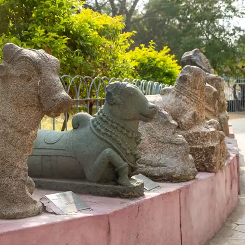 Government Museum, Vellore