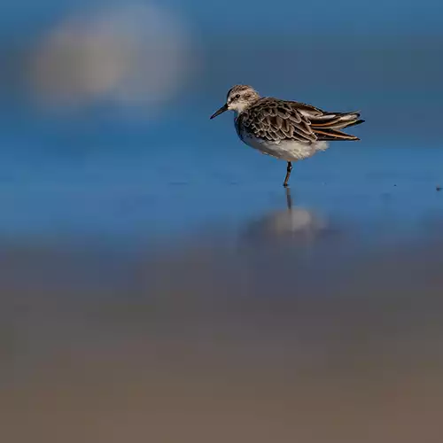 Karikili Bird Sanctuary