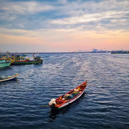 Kasimedu Fishing Harbour