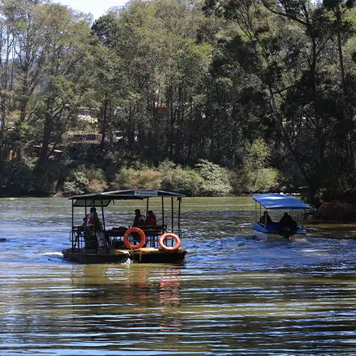 Lake Park, Ooty