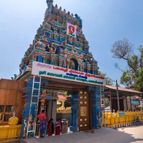 Mandaikadu Bhagavathi Amman Temple