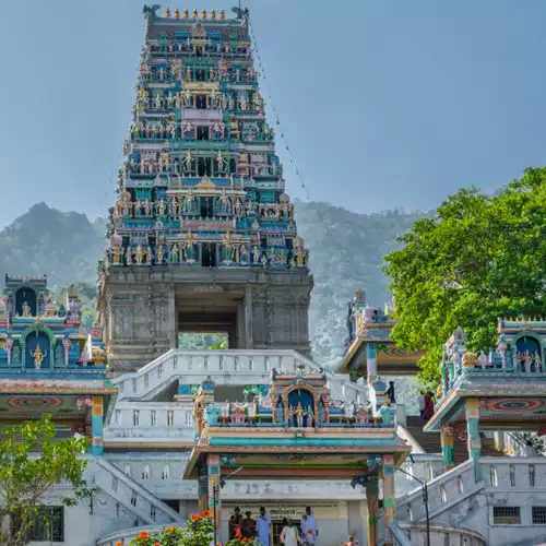 Maruthamalai Arulmigu Subramanya Swami Temple