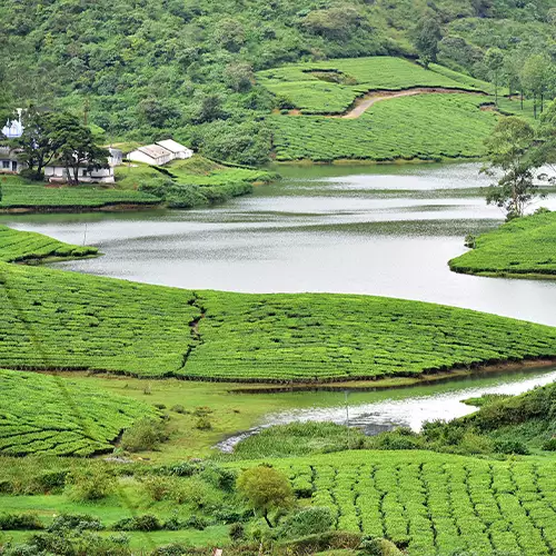 Meghamalai