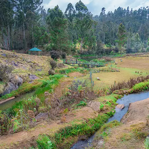 ஆஃப்-ரோடிங்