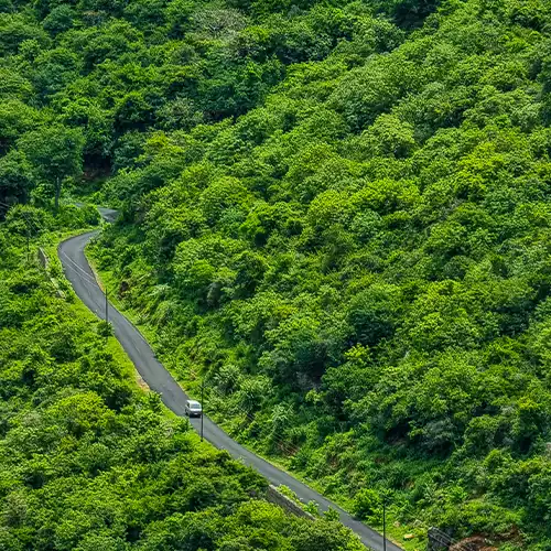 Pachamalai Hills