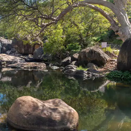 Papanasam Agasthiyar Falls