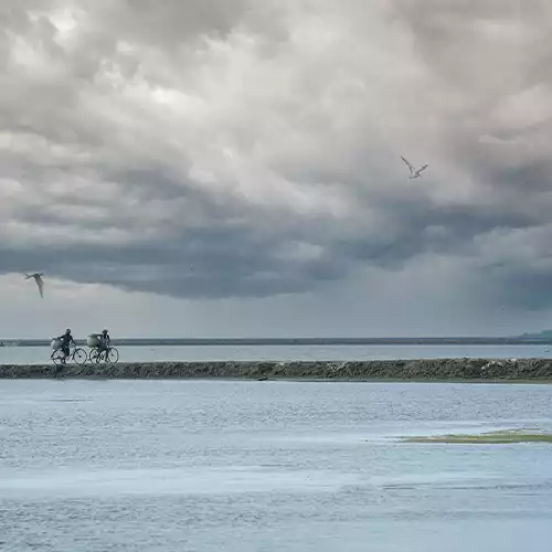 Point Calimere Wildlife and Bird Sanctuary