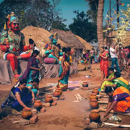 Pongal Festival