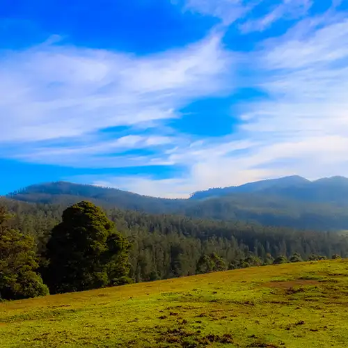 Shooting Point, Ooty