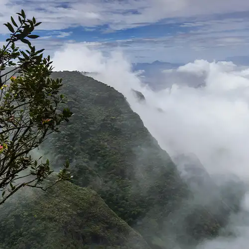 Silent Valley View