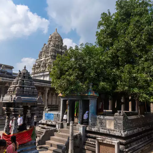 Sri Ekambareswarar Temple