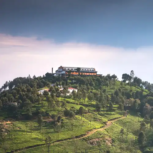 Tea Museum / Tea Factory, Ooty