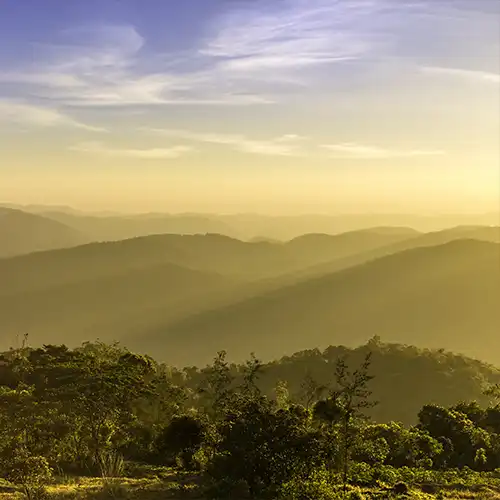 The Cardamom hills - Kodaikanal