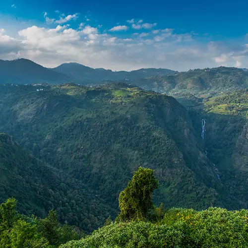 Nilgiri Dolphin’s Nose