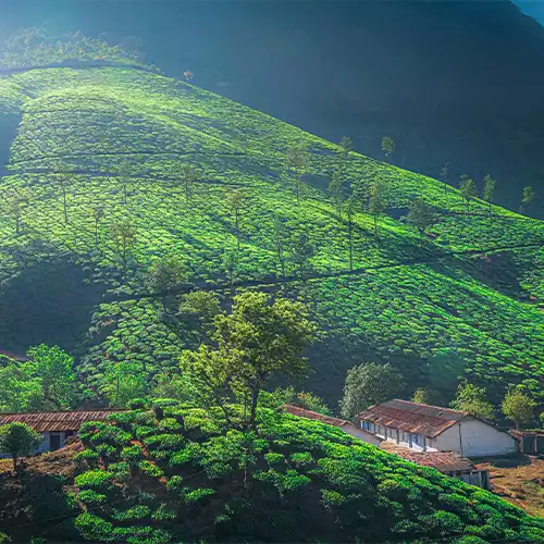 Valparai