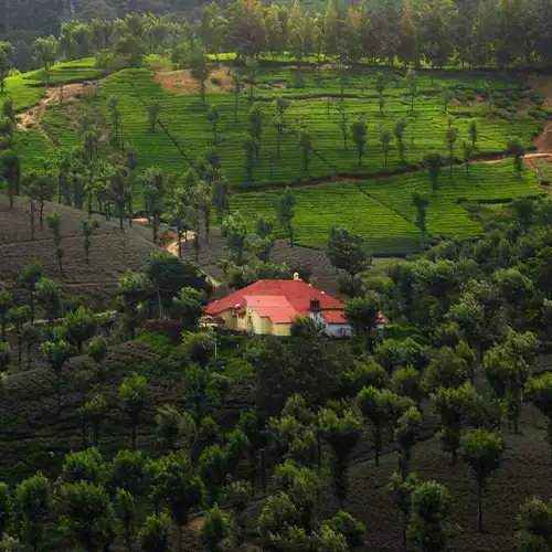 Valparai