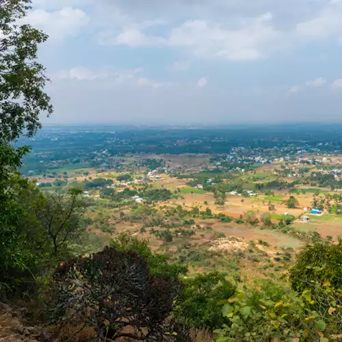 Yelagiri Hills