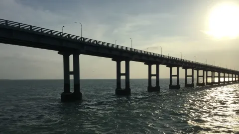 Annai Indira Gandhi Road Bridge