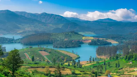 Avalanche Lake, Ooty