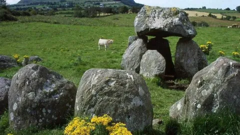 Dolmen Circle