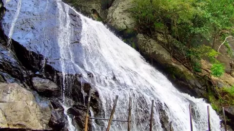 Monkey Waterfalls