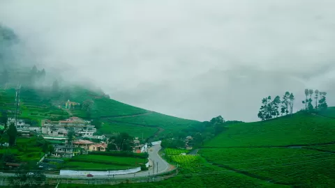 Ooty