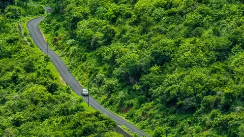 Pachamalai Hills