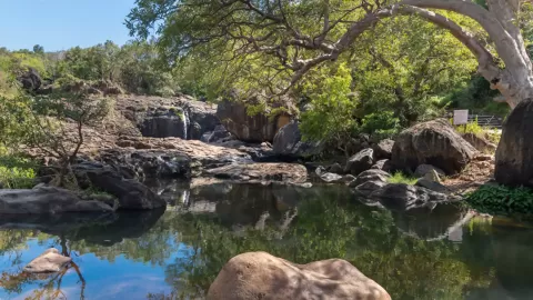 Papanasam Agasthiyar Falls