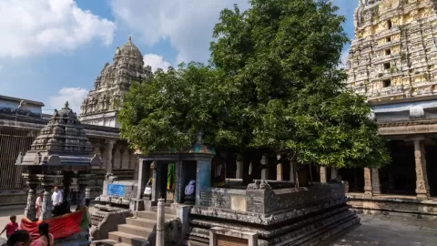 Sri Ekambareswarar Temple