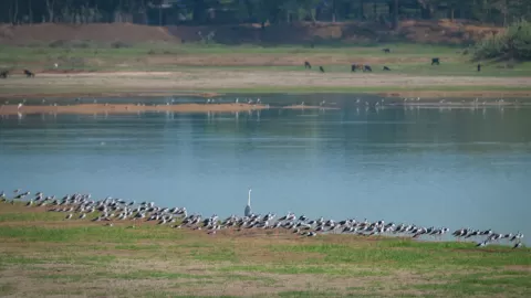 Vaduvoor Bird Sanctuary