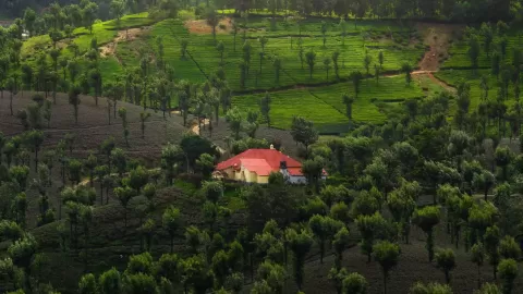 Valparai