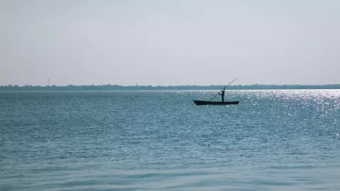 Veeranam Lake