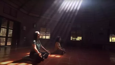Wellness 